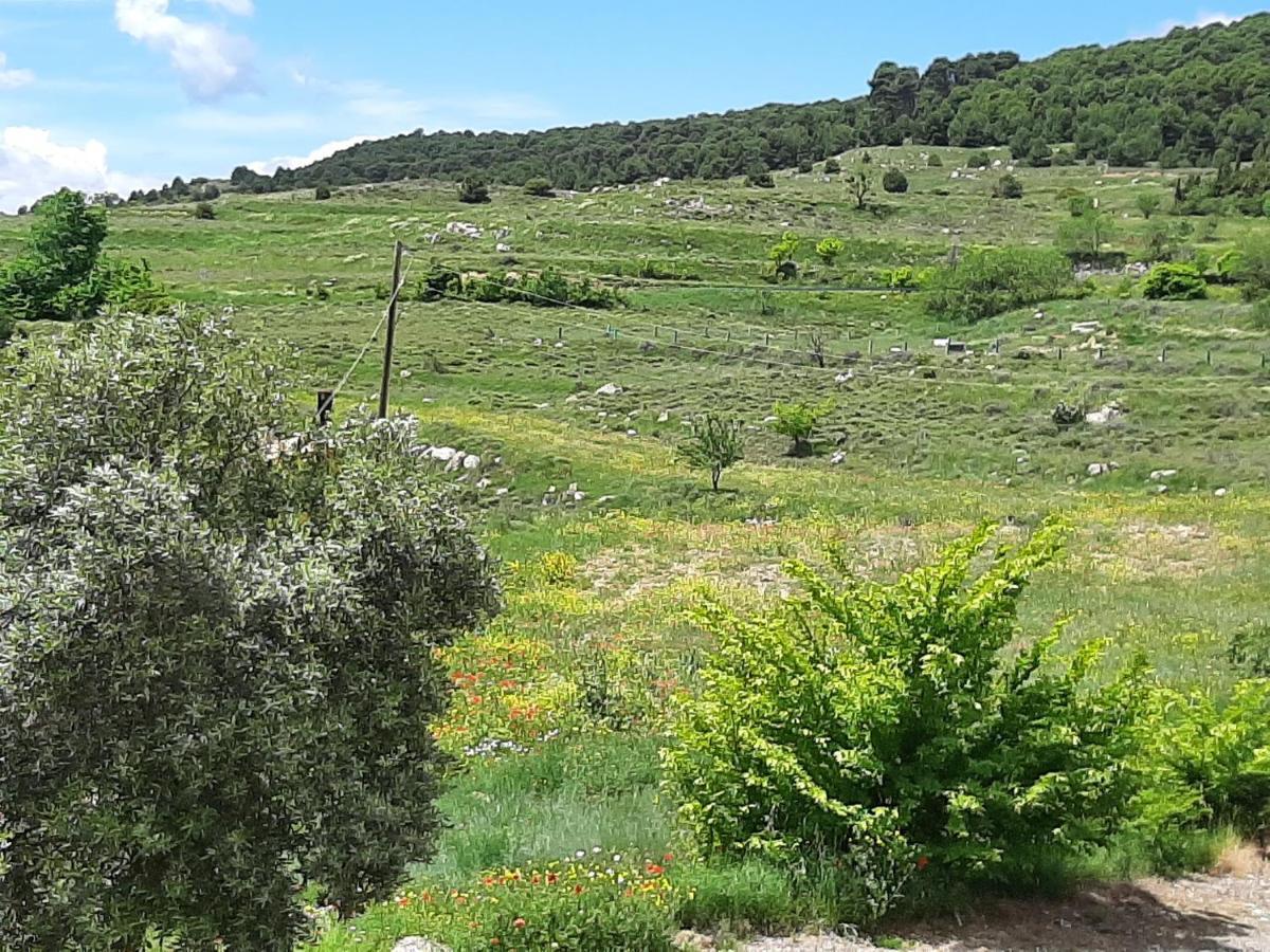 Casa Rural "Eccehomo De Borja" Extérieur photo