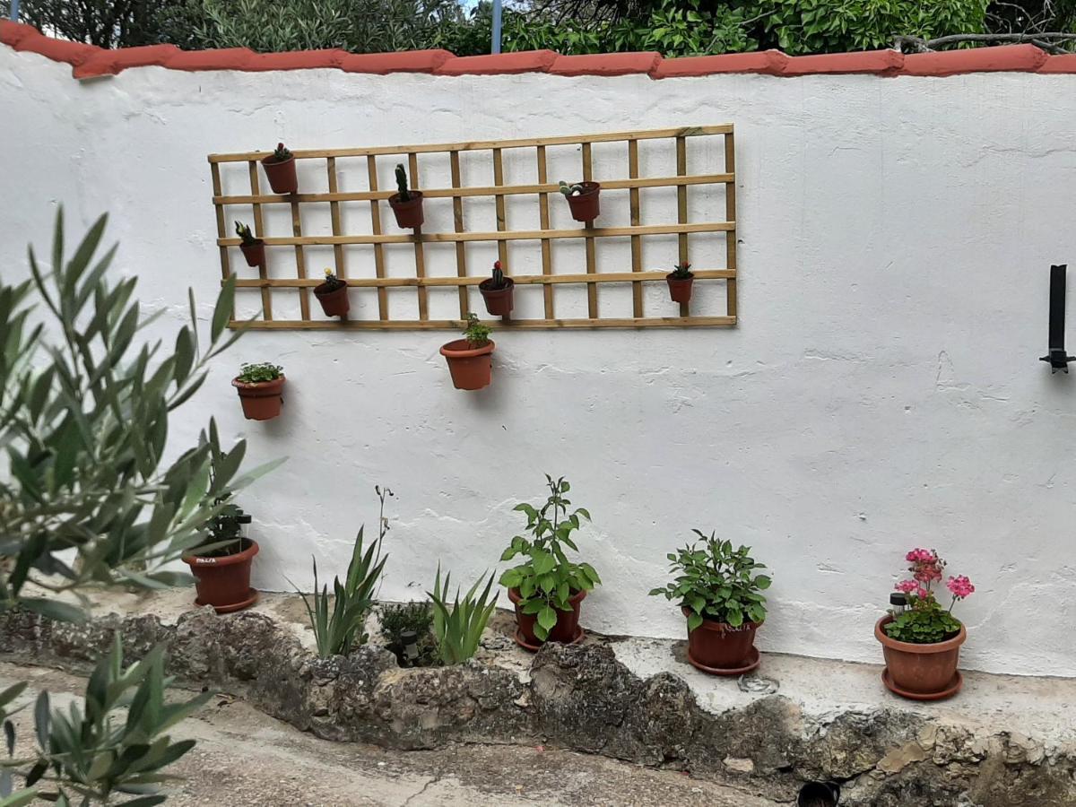 Casa Rural "Eccehomo De Borja" Extérieur photo